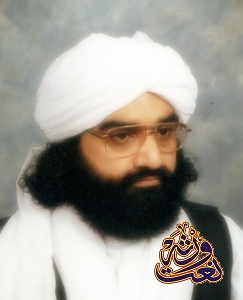 فائل:Naseer uddin Naseer.jpg